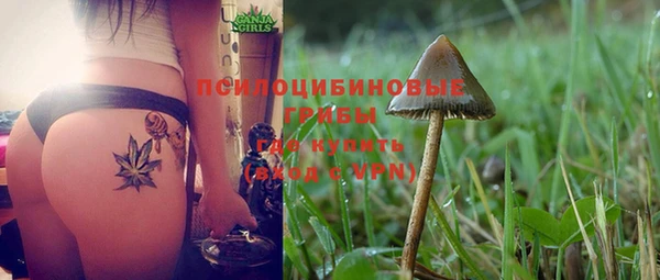кристаллы Новозыбков