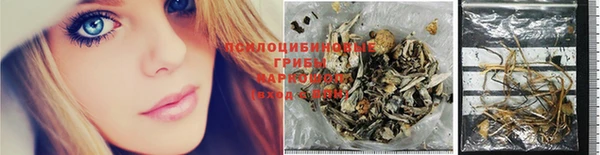 мдма Новодвинск